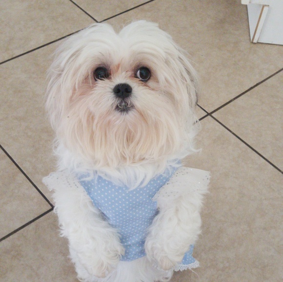 Meet your Posher, Dayan - Picture 1 of 7